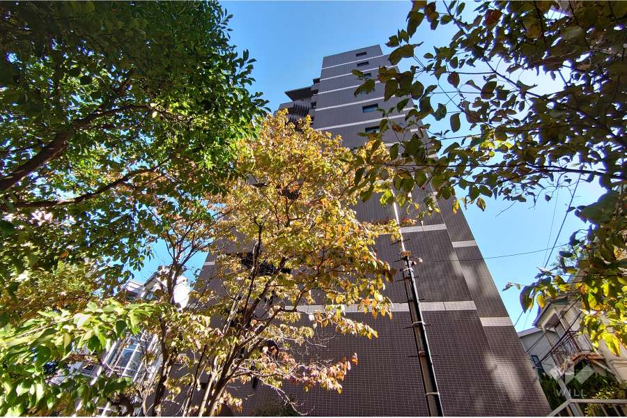 グランドコンシェルジュ恵比寿の外観（南西側から）