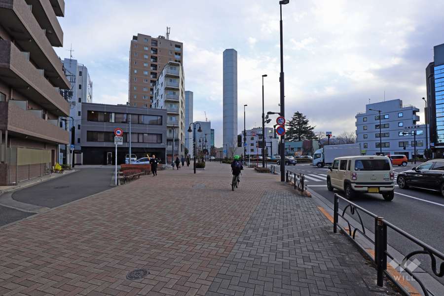 敷地西側の前面道路(北側から)