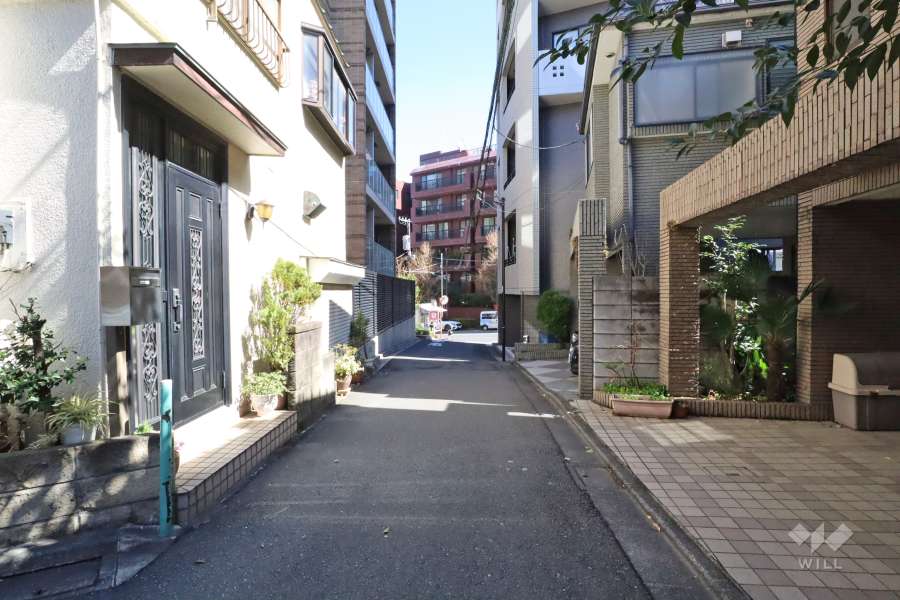 敷地南側の前面道路（西側から）