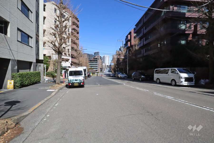 敷地東側の前面道路（南側から）