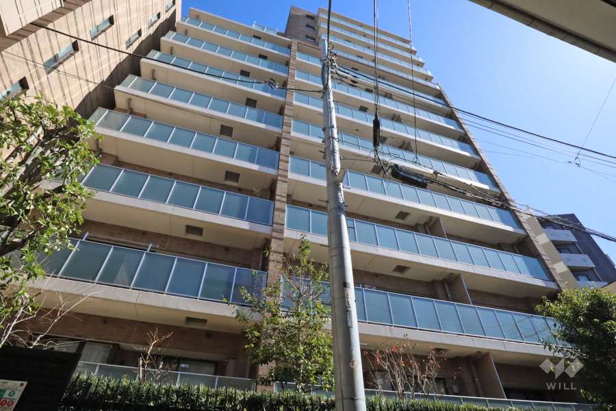 ブランズ渋谷常盤松の外観(西側から)