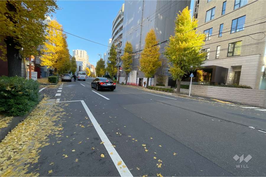 敷地西側の前面道路（南側から）