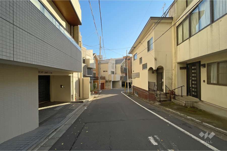 敷地南側の前面道路（西側から）