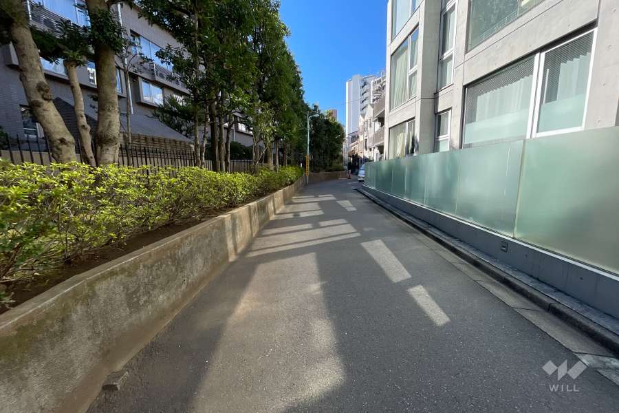 敷地の東側の前面道路