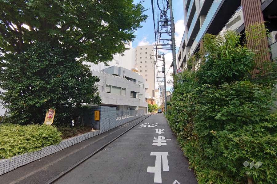 敷地北西側の前面道路（南西側から）