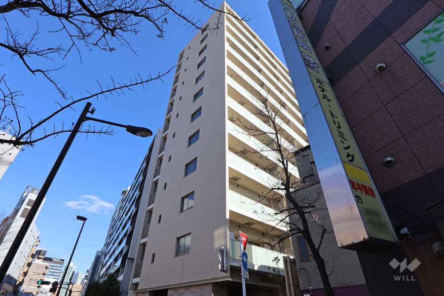 マンションの外観(北西側から)