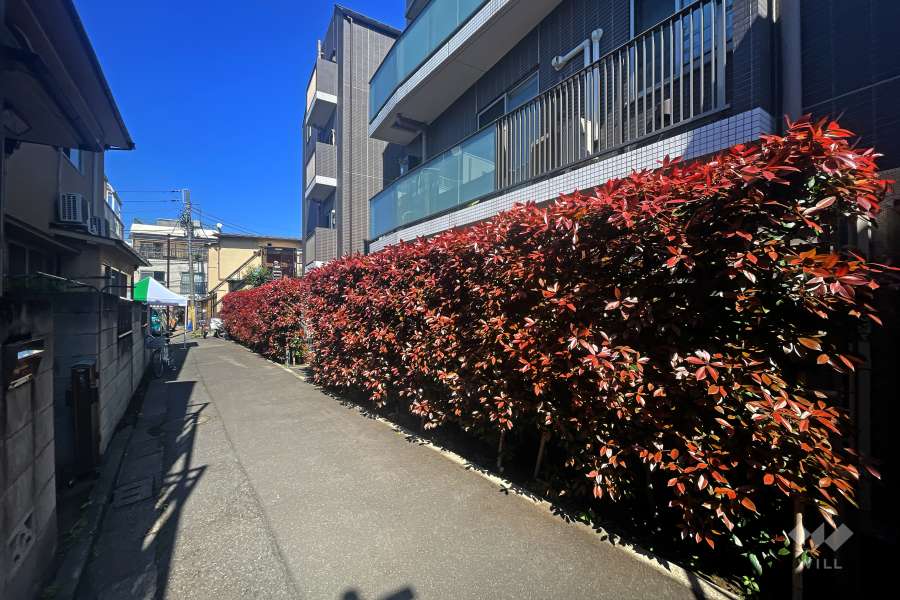 敷地北西側の前面道路（南西側から）