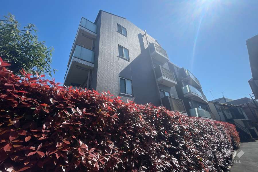 ルジェンテ幡ヶ谷の外観（北西側から）