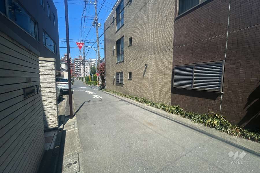 敷地南西側の前面道路（南東側から）
