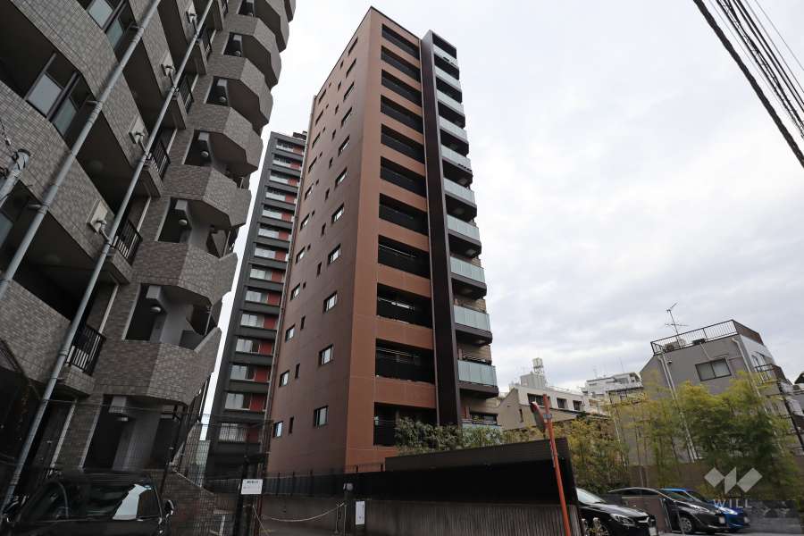 マンションの外観（南側から）