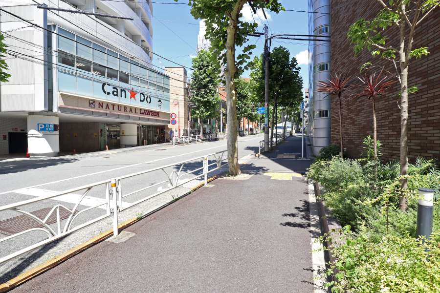 敷地の北側前面道路（西側から）