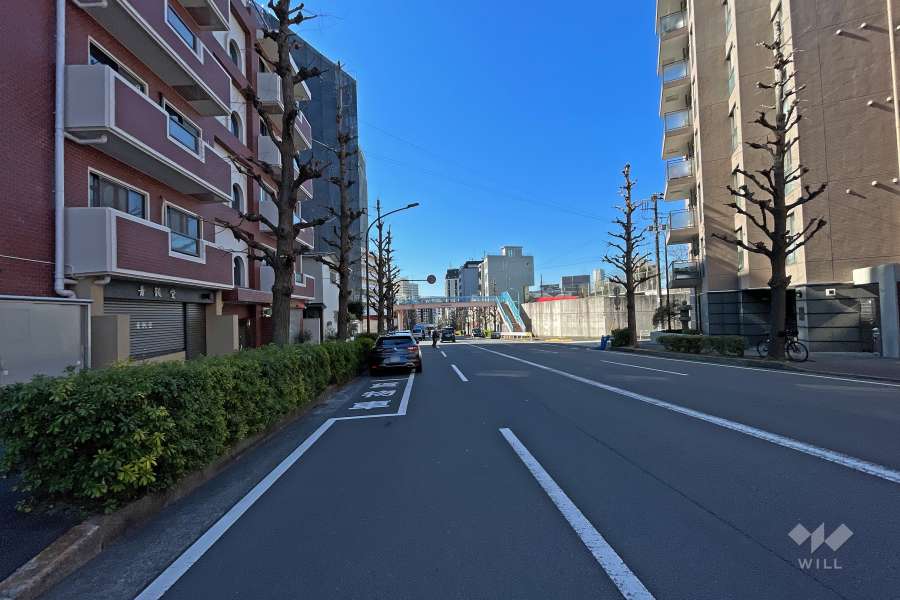 敷地西側の前面道路（北側から）