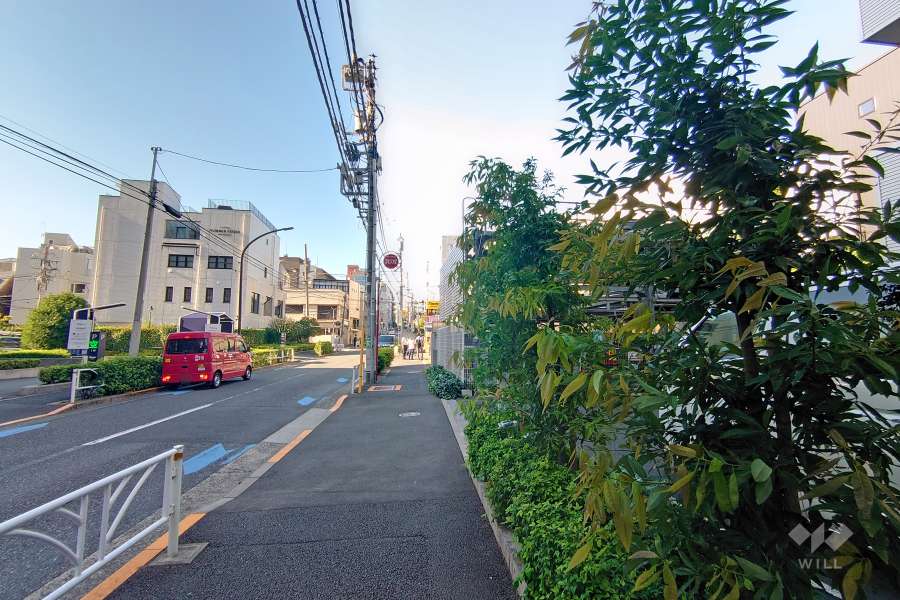 敷地西側の前面道路（南側から）