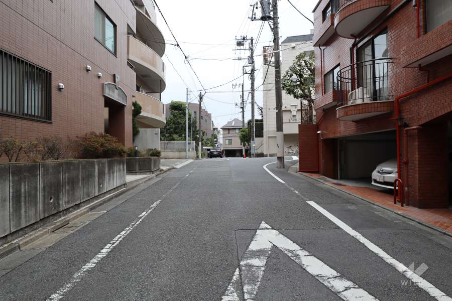 敷地南西側の前面道路（北西側から）