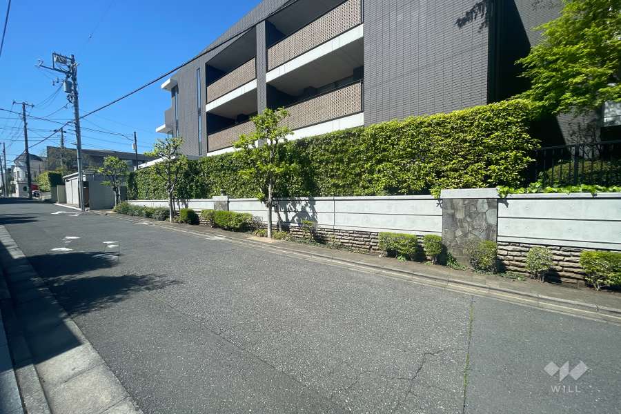 敷地南西側の前面道路（南東側から）