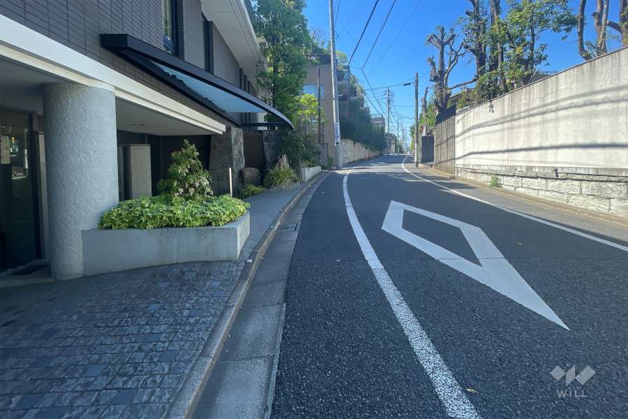 敷地北東側の前面道路（南東側から）