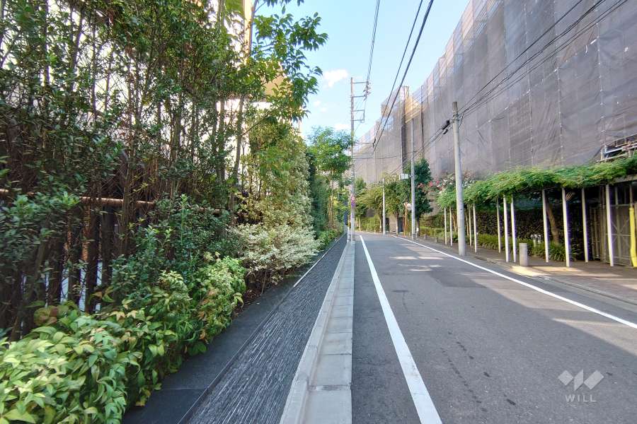 敷地東側の前面道路（南側から）