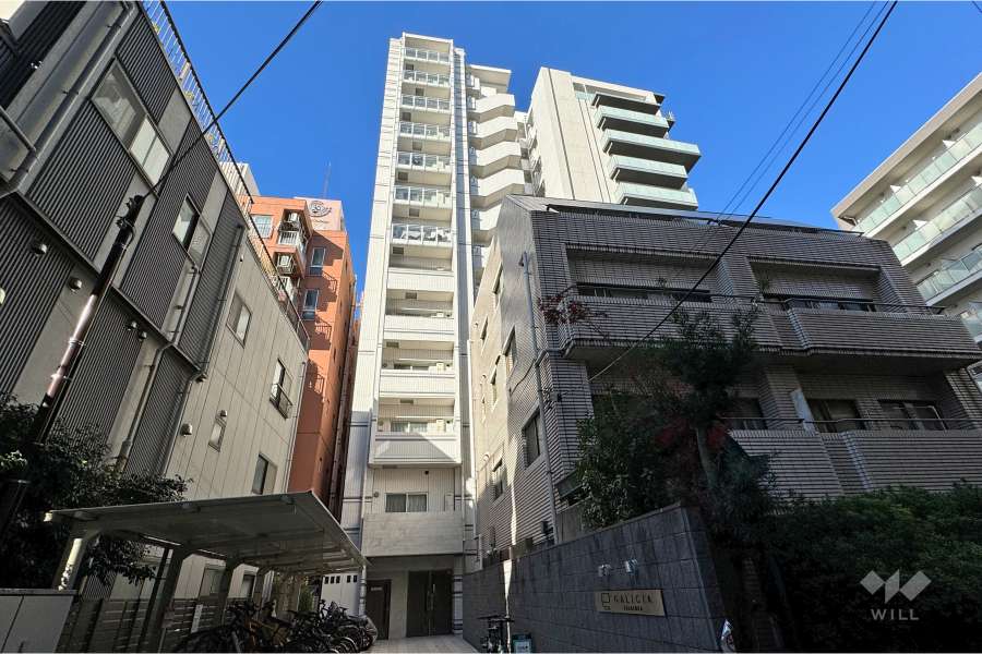 ガリシア笹塚の外観（南東側から）