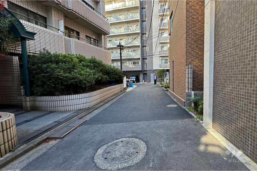 敷地南側の前面道路（西側から）