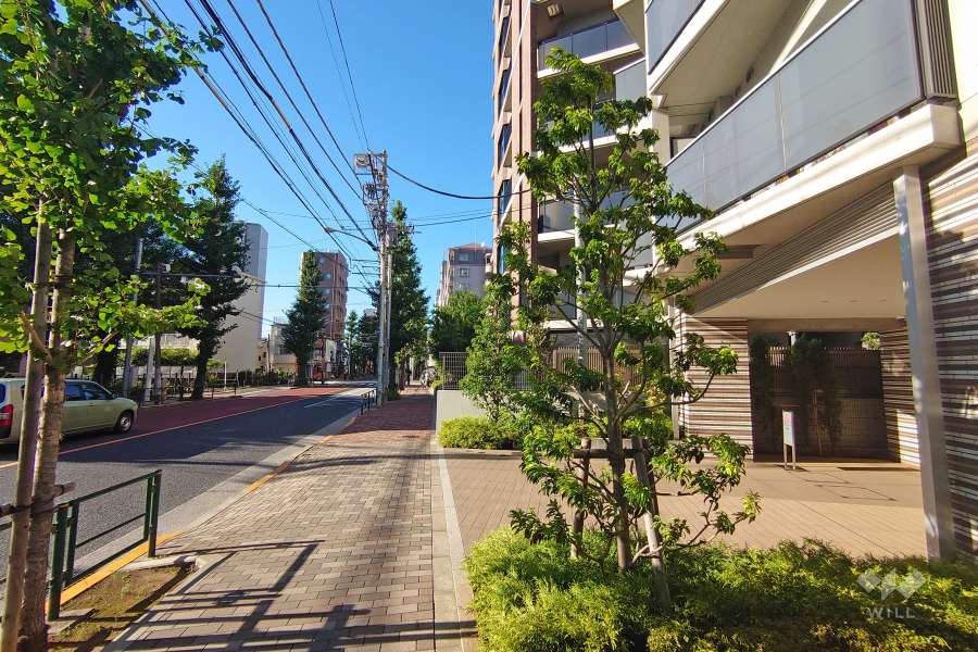 敷地西側の前面道路＿（南側から
