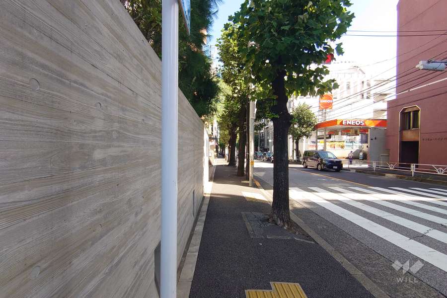 敷地南東側の前面道路（南西側から）