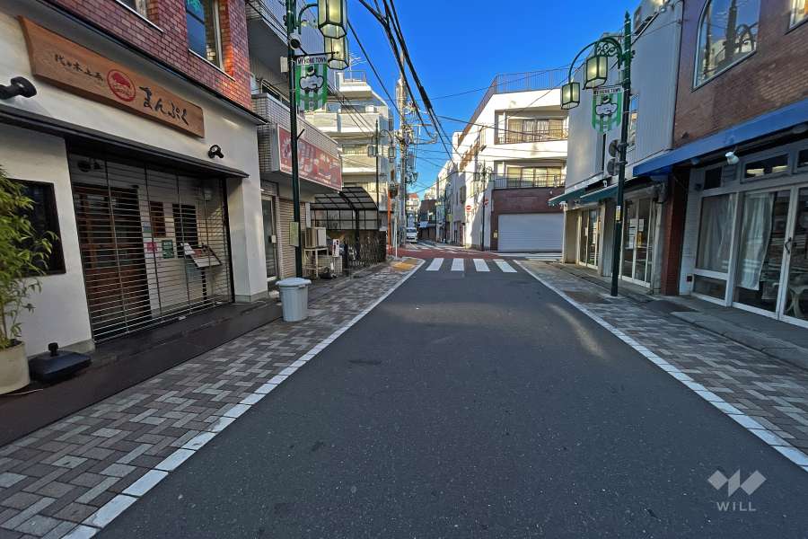 敷地の北東前面道路（南西側から））