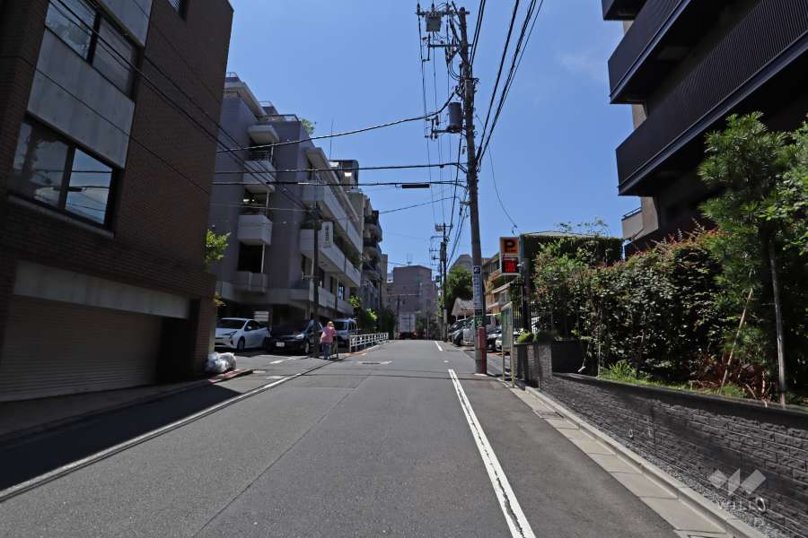 敷地東側の前面道路（北側から）