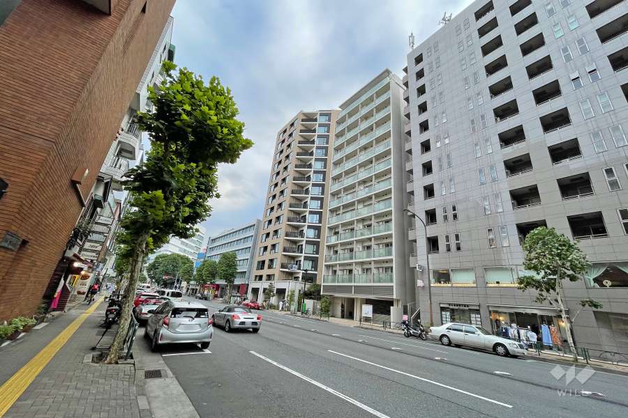 敷地東側の前面道路（北側から）