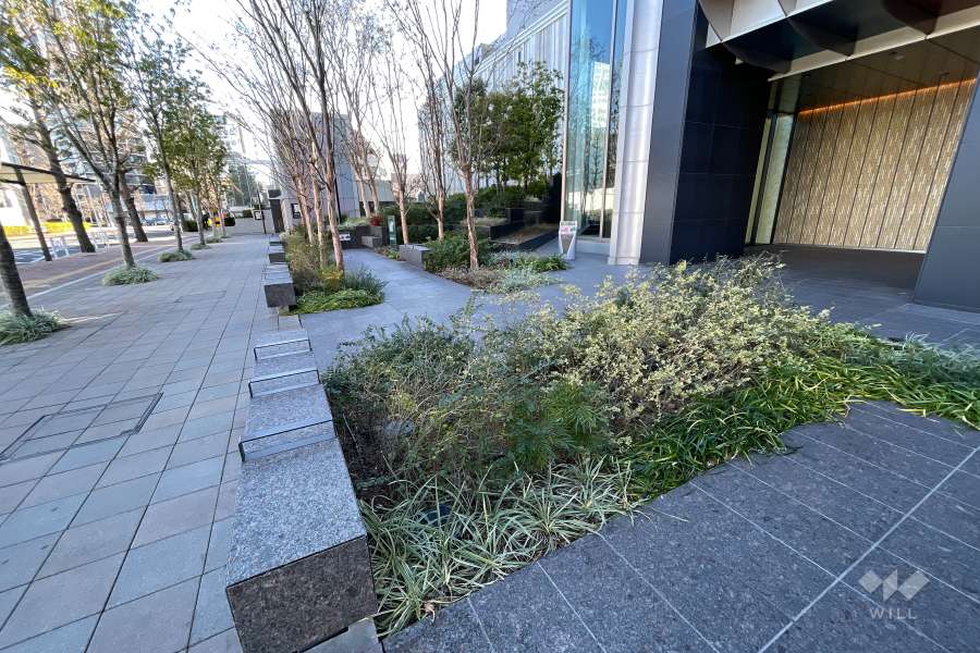 敷地内は緑が多いです。