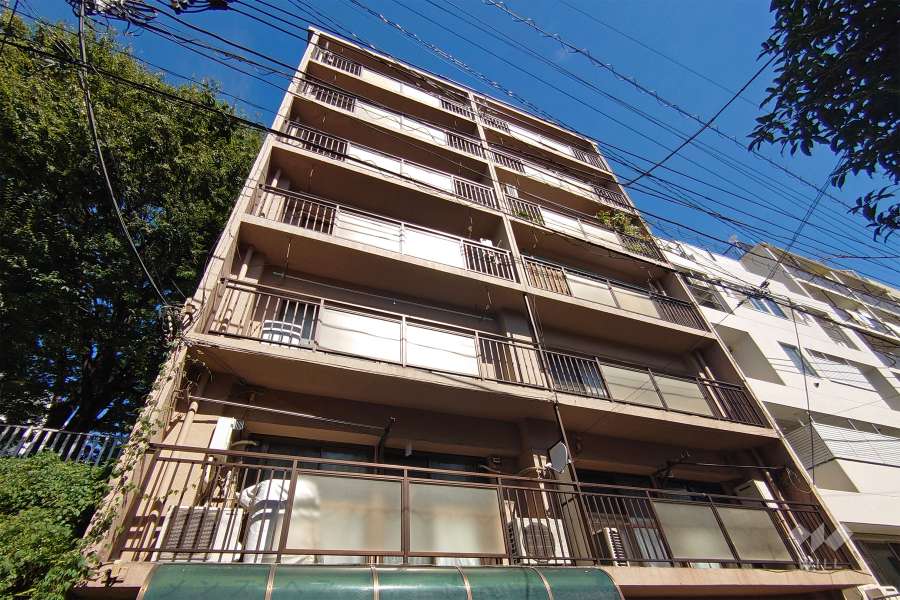 富士見マンション（本町１丁目）の外観（南側から）