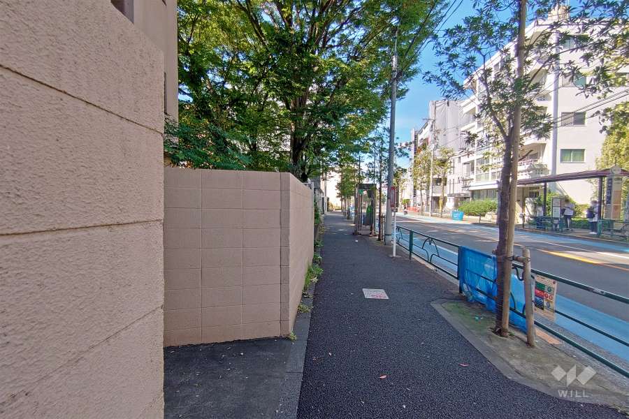敷地北側の前面道路
