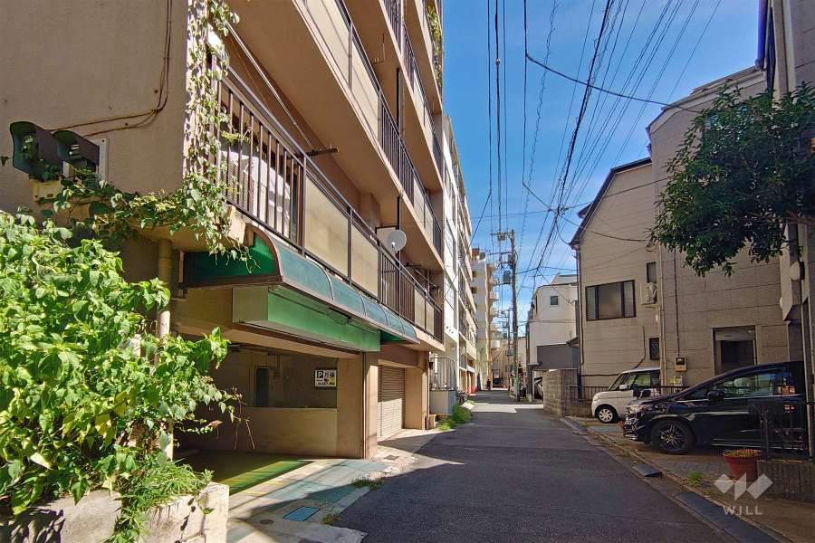 敷地南側の前面道路