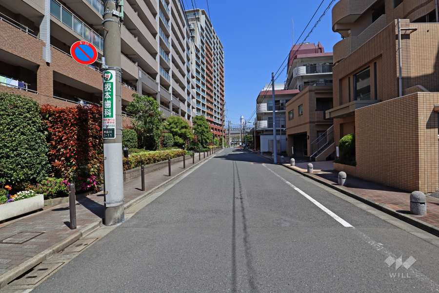 敷地北側の前面道路（西側から）