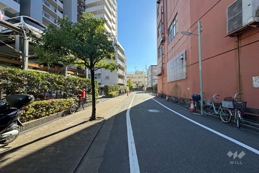 敷地西側の前面道路