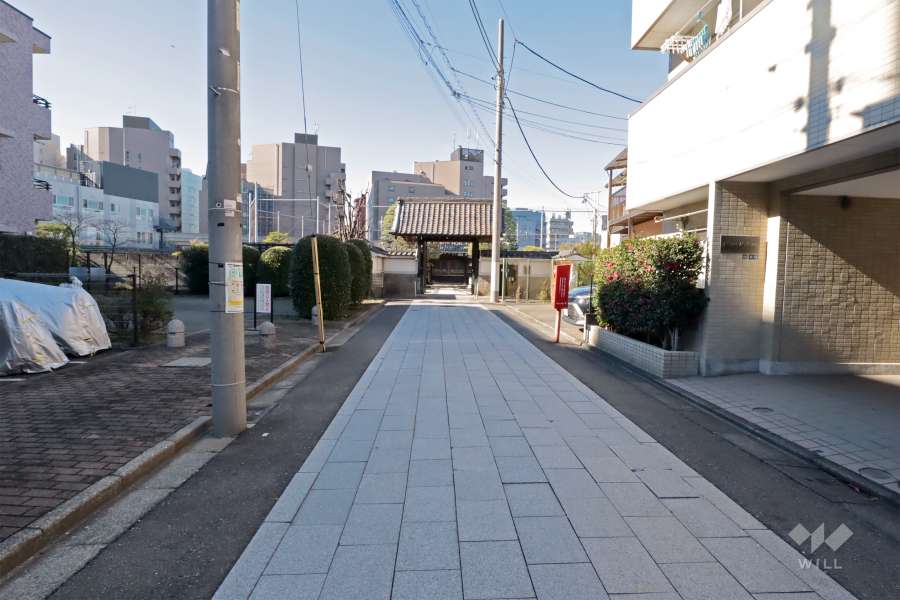 敷地北側の前面道路(東側から)