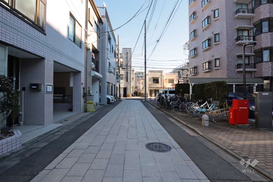 敷地北側の前面道路(西側から)