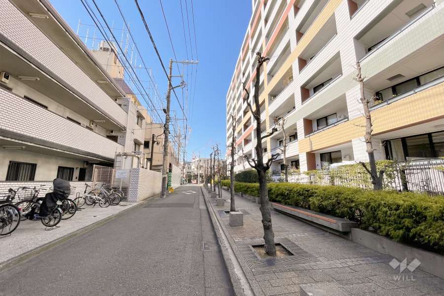 敷地南側の前面道路（東側から）