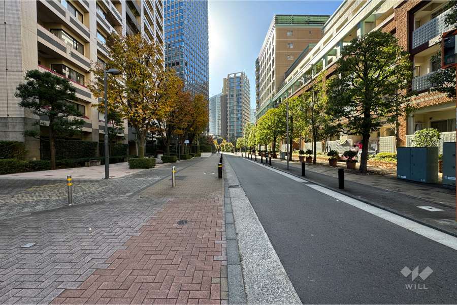 敷地西側の前面道路（北側から）