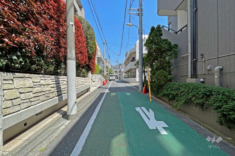 敷地南東側の前面道路（南西側から）