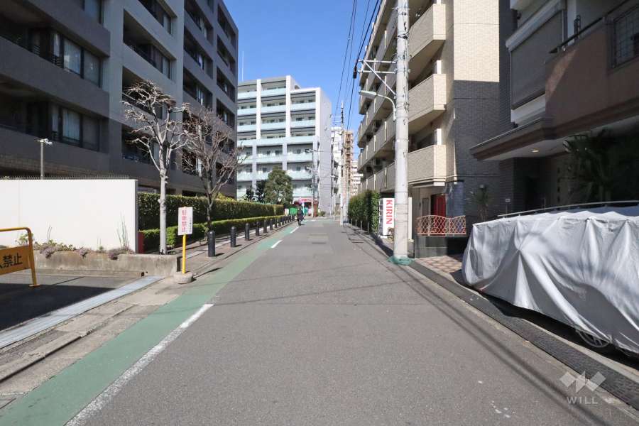 敷地東側の前面道路(南側から)