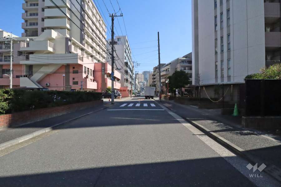 敷地北側の前面道路(西側から)