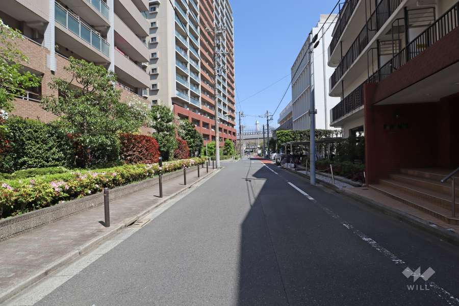 敷地北側の前面道路（西側から）