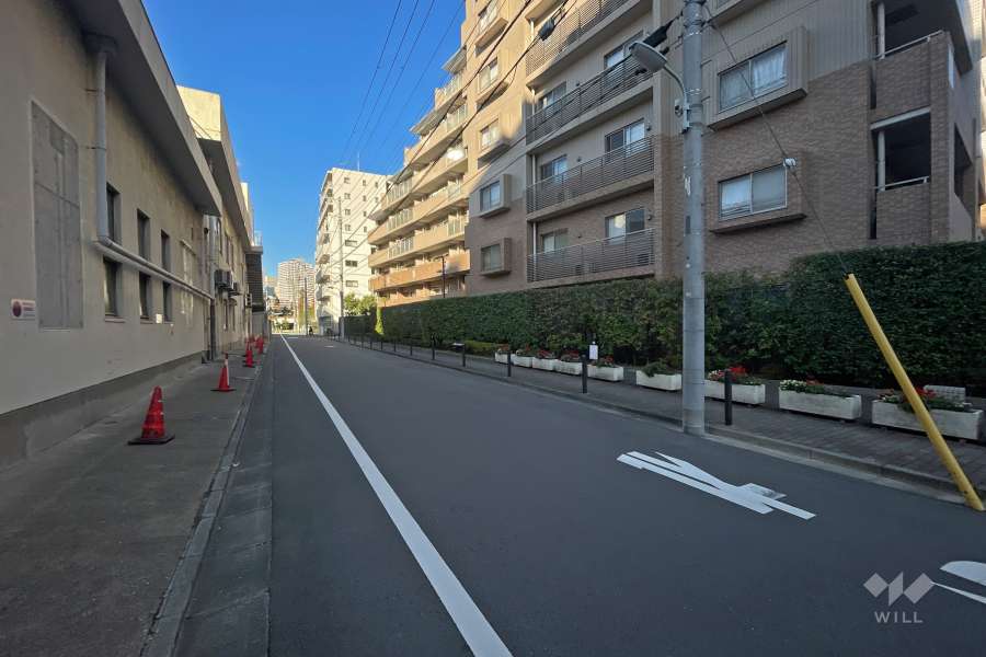 敷地西側の前面道路（南側から）