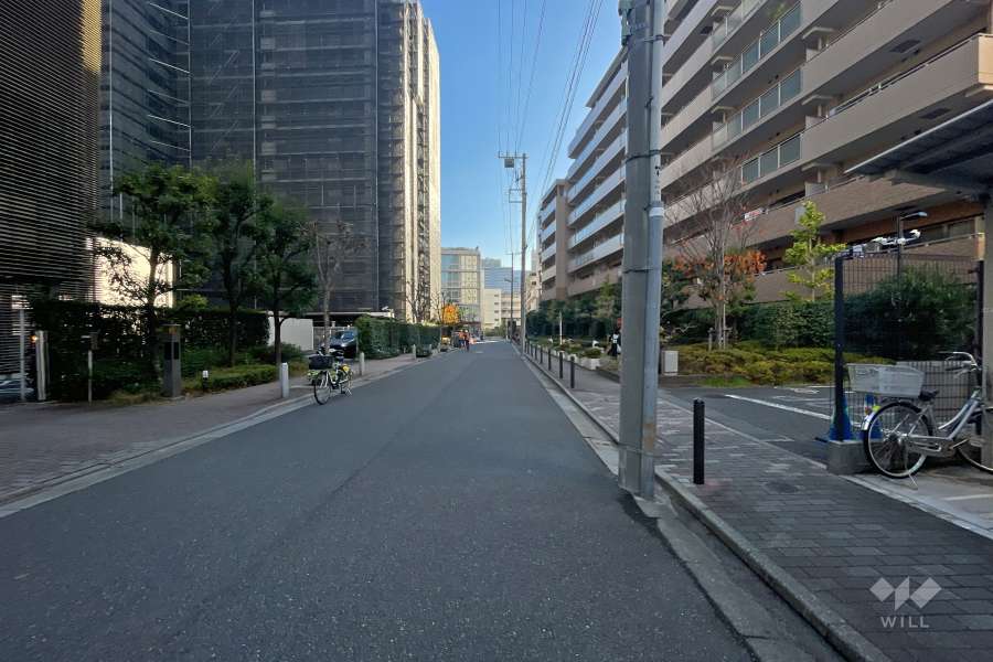 敷地東側の前面道路（北側から）