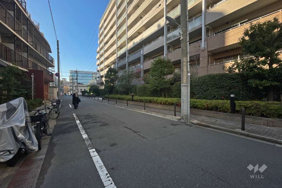 敷地南側の前面道路（東側から）