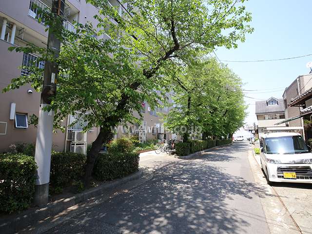 敷地東側の前面道路