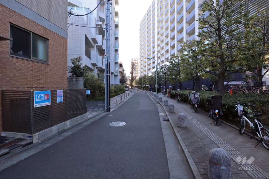 敷地東側の前面道路(北側から)