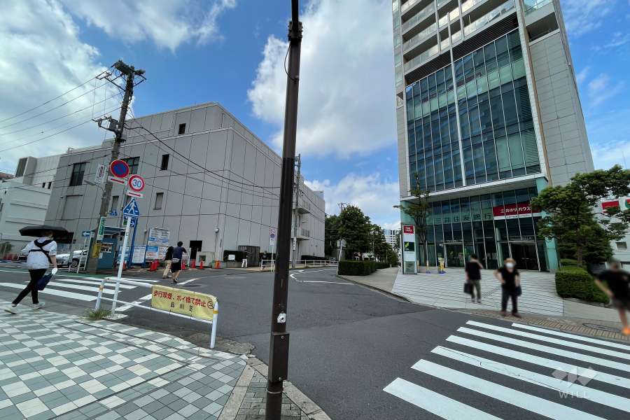 敷地東側の前面道路（北側から）