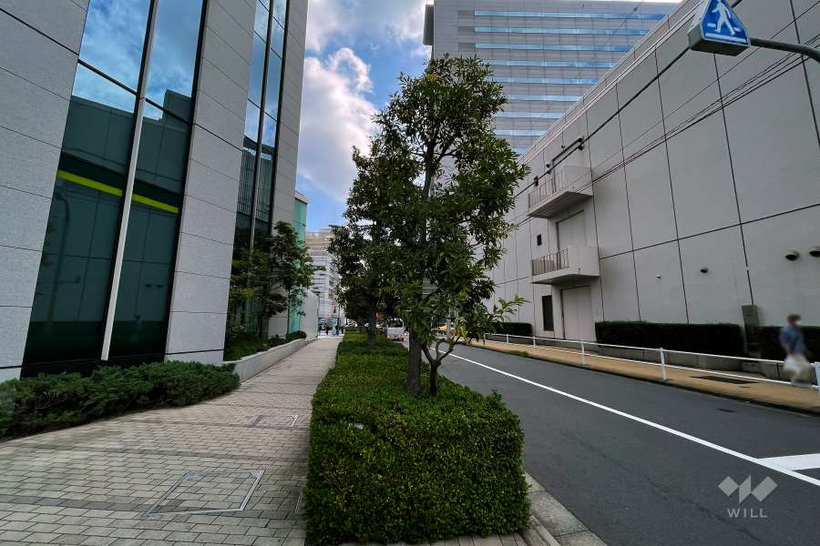 敷地南東側の前面道路（南西側から）