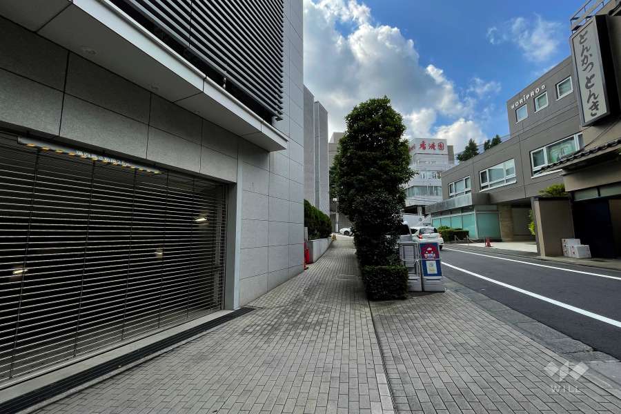 敷地南西側の前面道路（北西側から）